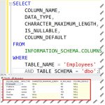 Describe Table in SQL Server - SQL Server Guides